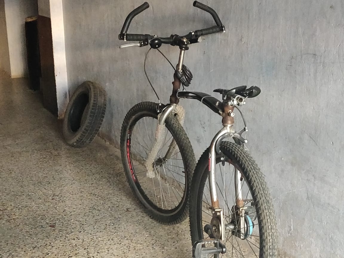 Cycle 3