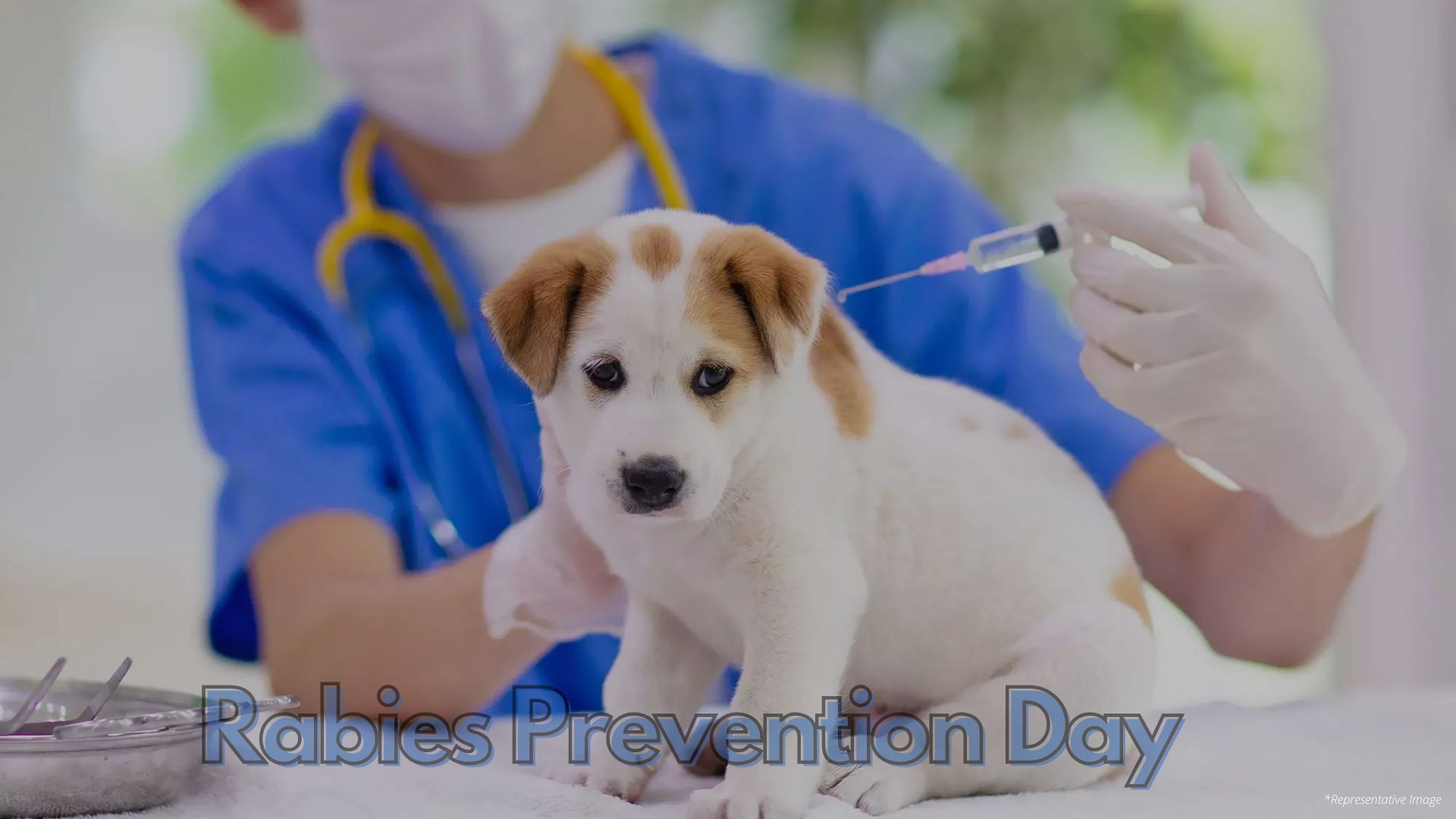 Rabies Prevention Day celebrations: Pets and stray animals will be  vaccinated free of cost -