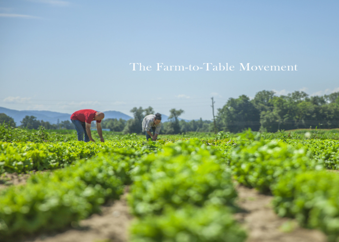 Farm-to-table